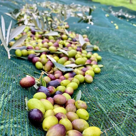 Alloggio per agriturismo La Corte Del Sole *