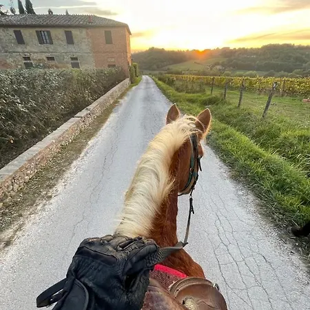 La Corte Del Sole Siena