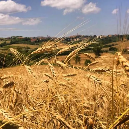 La Corte Del Sole *