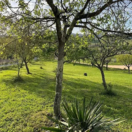 La Corte Del Sole Farm stay