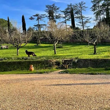 La Corte Del Sole Farm stay