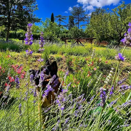 Farm stay La Corte Del Sole