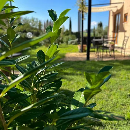 La Corte Del Sole *
