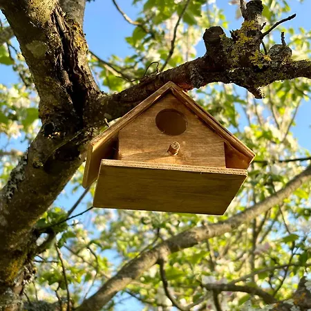La Corte Del Sole Alloggio per agriturismo