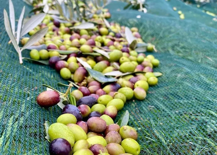 Alloggio per agriturismo La Corte Del Sole *