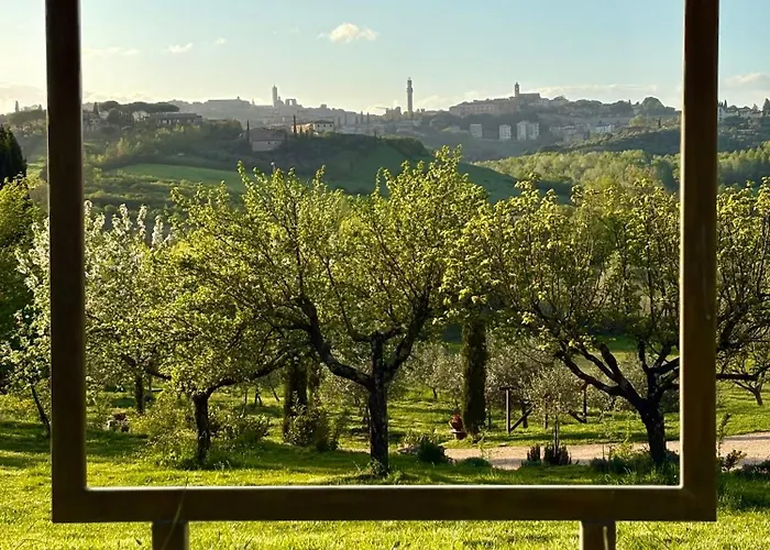 Farm stay La Corte Del Sole *