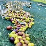 مزرعة للإقامة La Corte Del Sole *