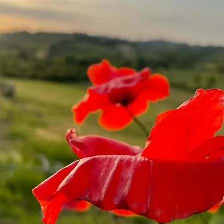 La Corte Del Sole Farmház