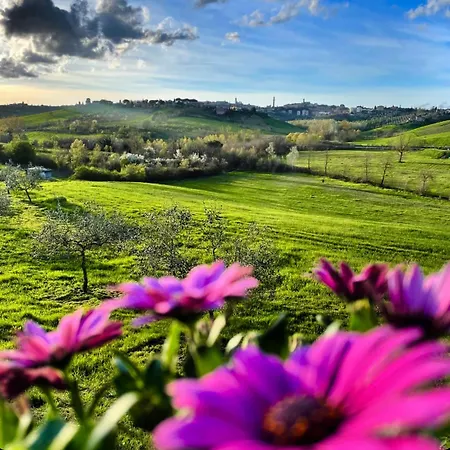 La Corte Del Sole *