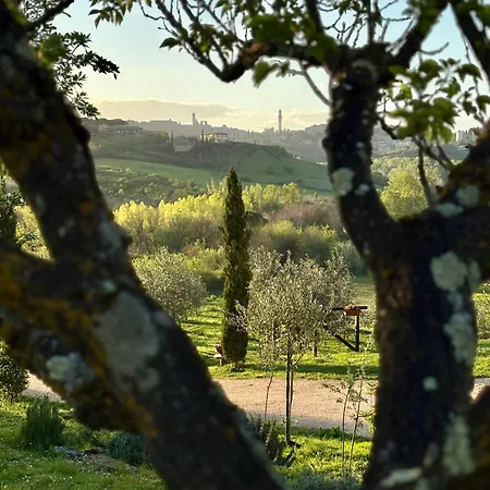La Corte Del Sole *