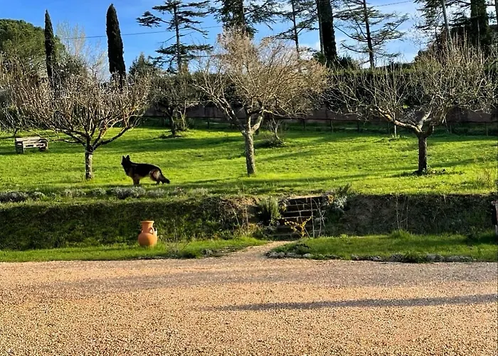La Corte Del Sole Séjour à la ferme