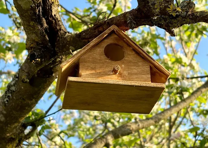 La Corte Del Sole Séjour à la ferme